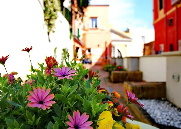 Il Borghetto Apartments&Rooms Procida